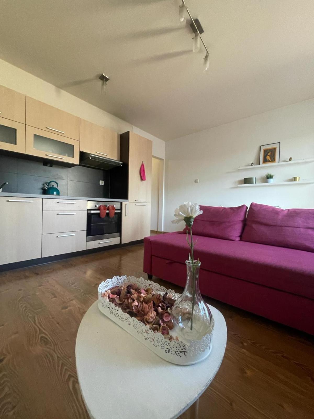 Appartamento Przystan Dolnych Mlynow Cracovia Esterno foto